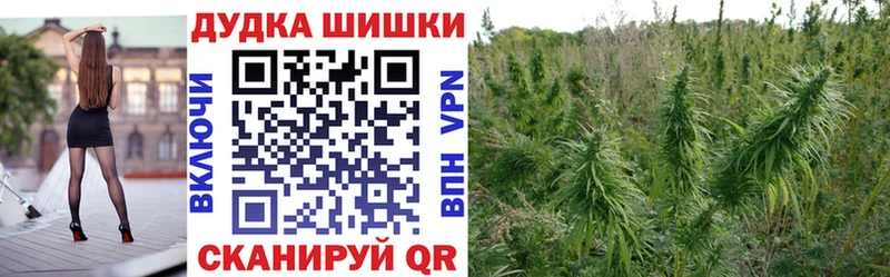 Наркотические вещества Сортавала Alpha PVP  Канабис  АМФЕТАМИН  Гашиш  гидра tor  Мефедрон 