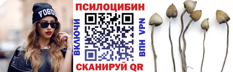 наркотики  Сортавала  Галлюциногенные грибы GOLDEN TEACHER 