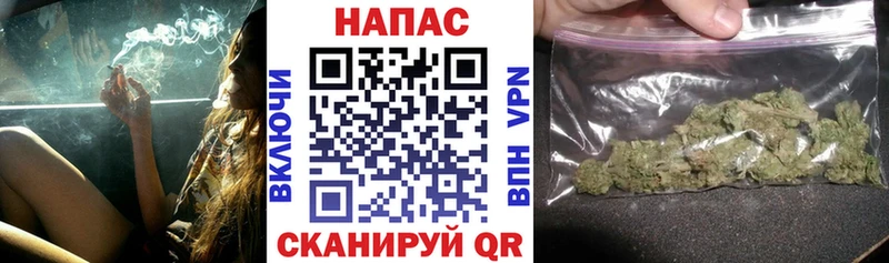 Марихуана планчик  Сортавала 